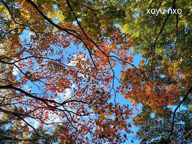 f:id:xoyu-nxo:20211107231908j:image f:id:xoyu-nxo:20211107231908j:image