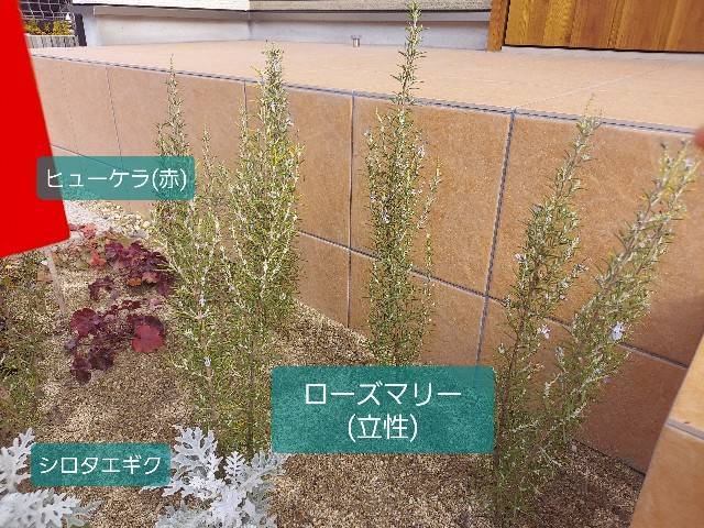 f:id:xoyu-nxo:20211224155017j:image f:id:xoyu-nxo:20211224155017j:image