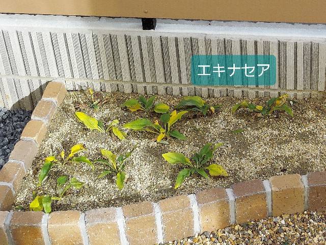 f:id:xoyu-nxo:20211226120318j:image f:id:xoyu-nxo:20211226120318j:image