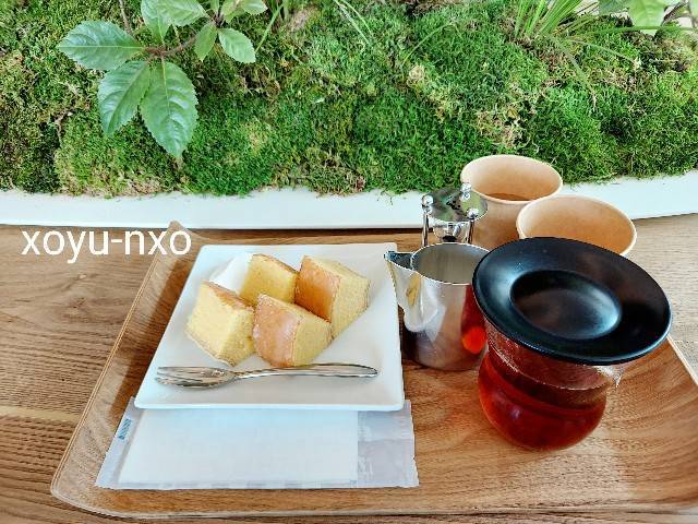 f:id:xoyu-nxo:20220405183038j:image