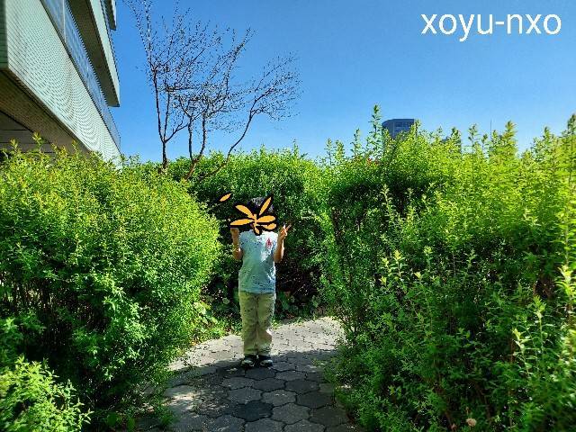 f:id:xoyu-nxo:20220417140808j:image f:id:xoyu-nxo:20220417140808j:image