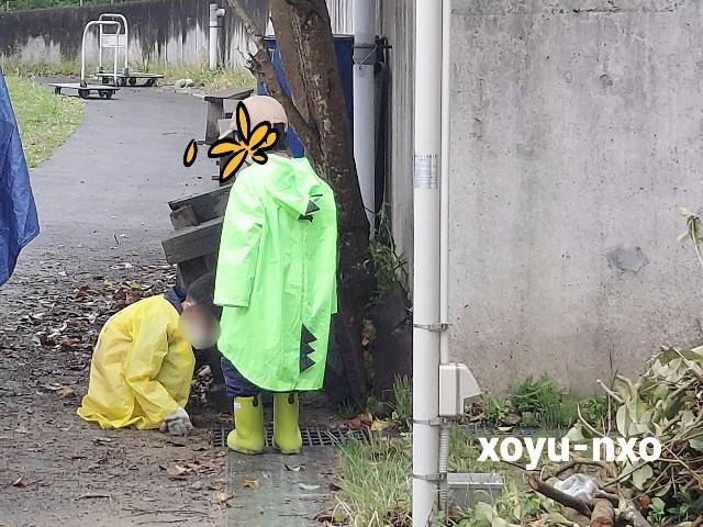 f:id:xoyu-nxo:20220430223029j:image