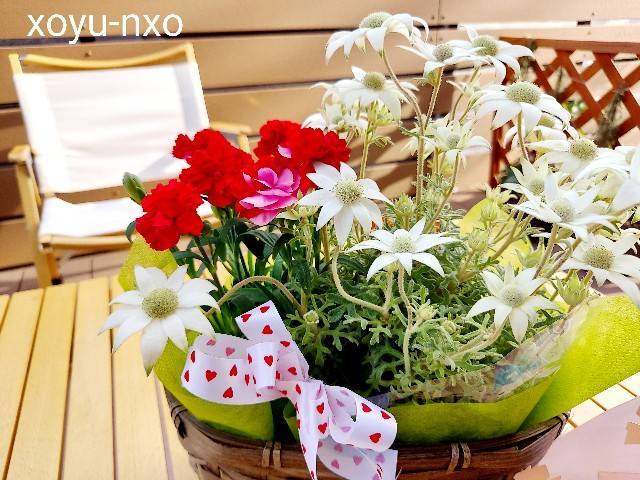 f:id:xoyu-nxo:20220508214958j:image