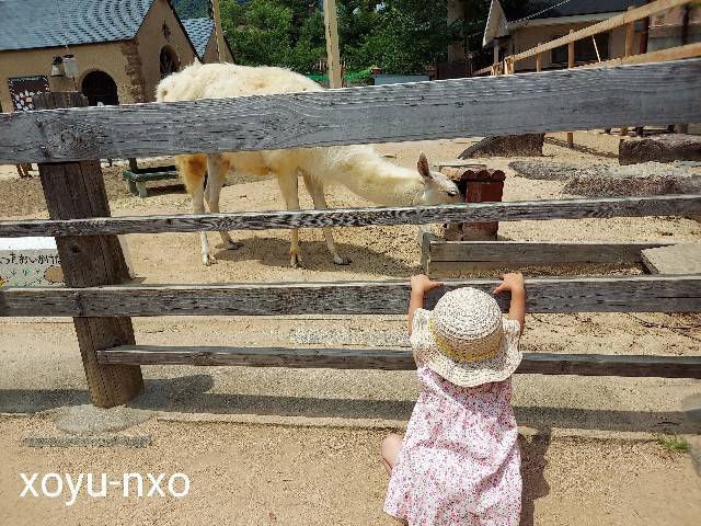 f:id:xoyu-nxo:20220624084830j:image f:id:xoyu-nxo:20220624084830j:image