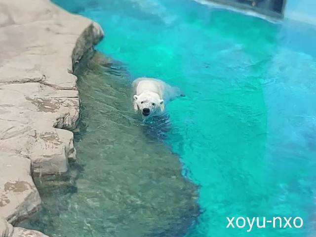 f:id:xoyu-nxo:20220624084848j:image f:id:xoyu-nxo:20220624084848j:image