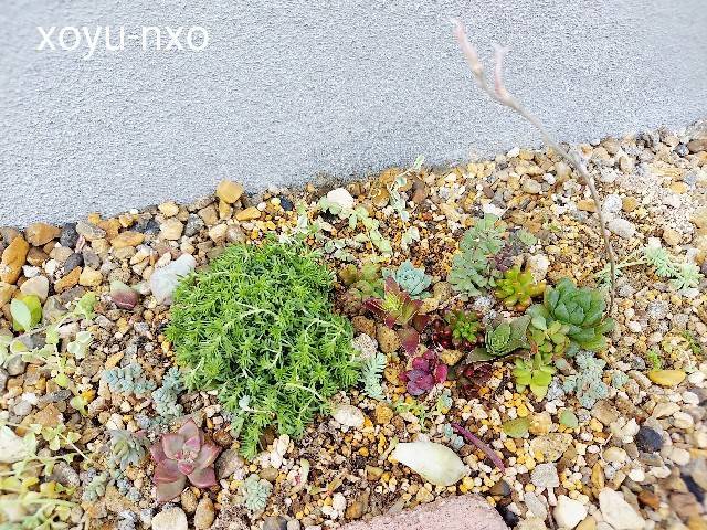 f:id:xoyu-nxo:20220625100530j:image