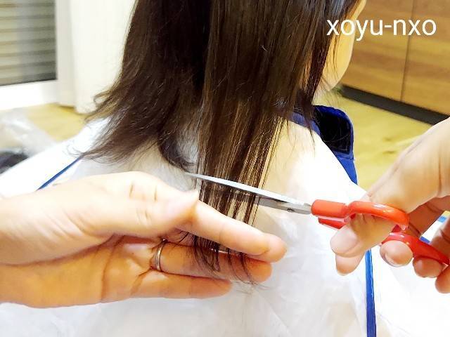 f:id:xoyu-nxo:20220630114945j:image