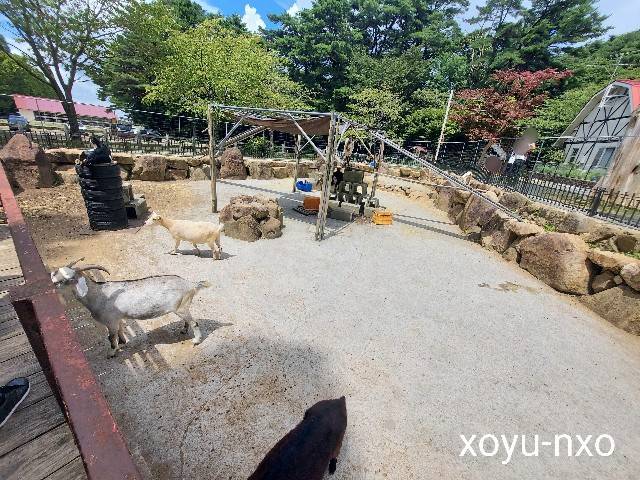 f:id:xoyu-nxo:20220826123010j:image f:id:xoyu-nxo:20220826123010j:image