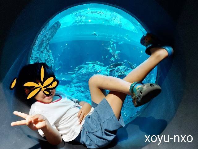 f:id:xoyu-nxo:20220904230858j:image f:id:xoyu-nxo:20220904230858j:image