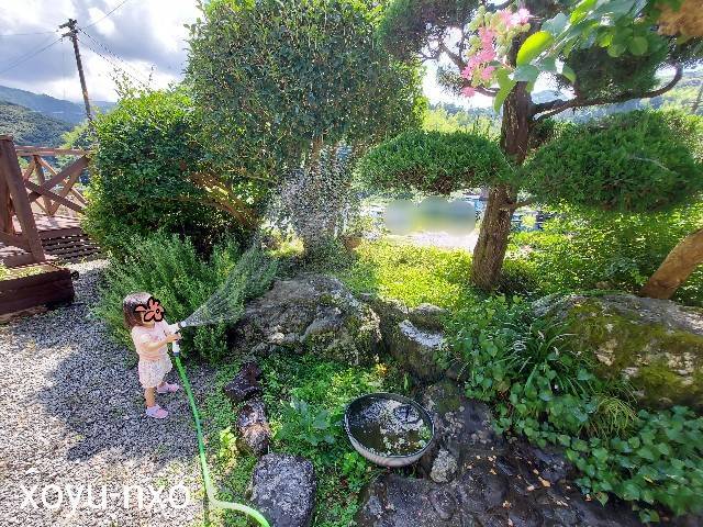 f:id:xoyu-nxo:20220904231114j:image f:id:xoyu-nxo:20220904231114j:image