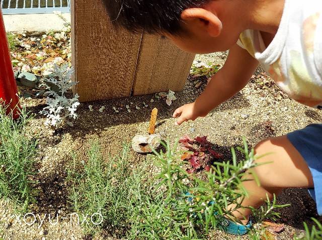 f:id:xoyu-nxo:20221021103342j:image f:id:xoyu-nxo:20221021103342j:image