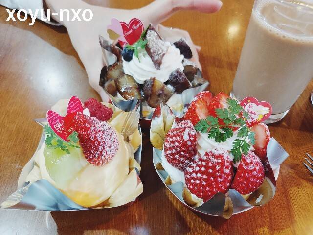 f:id:xoyu-nxo:20230209111653j:image