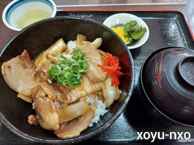 f:id:xoyu-nxo:20230209111749j:image