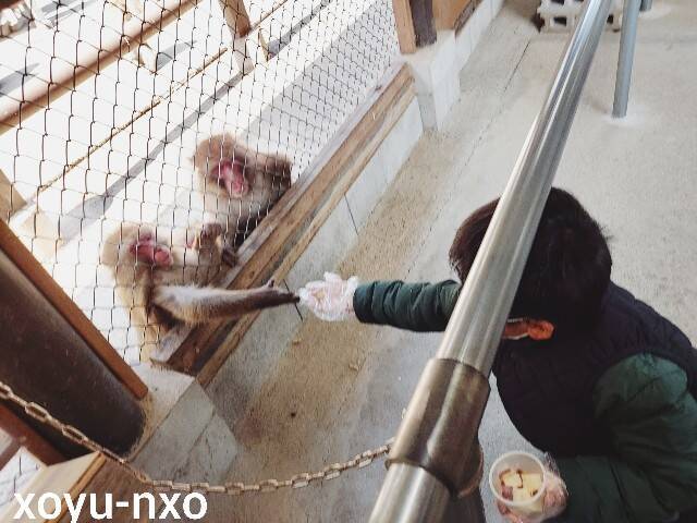 f:id:xoyu-nxo:20230209111818j:image