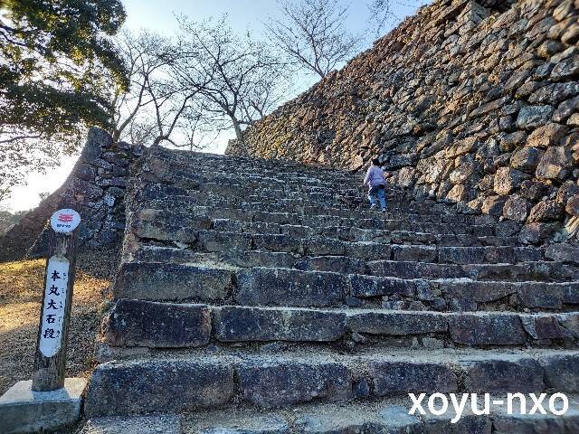 f:id:xoyu-nxo:20230209111831j:image