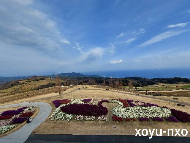 f:id:xoyu-nxo:20230209113553j:image