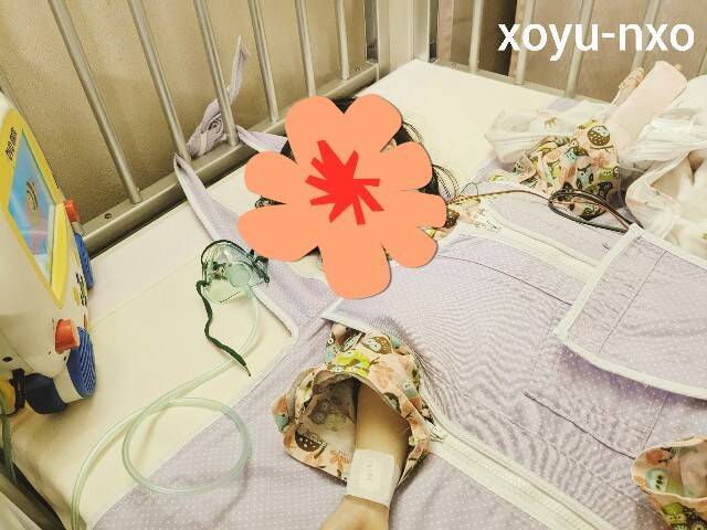 f:id:xoyu-nxo:20230226143628j:image