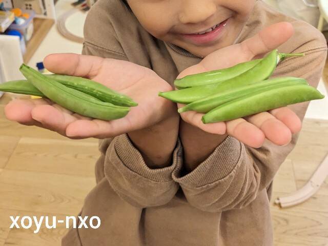 f:id:xoyu-nxo:20230424184749j:image