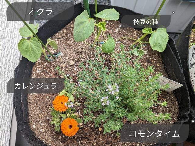 f:id:xoyu-nxo:20230424215959j:image