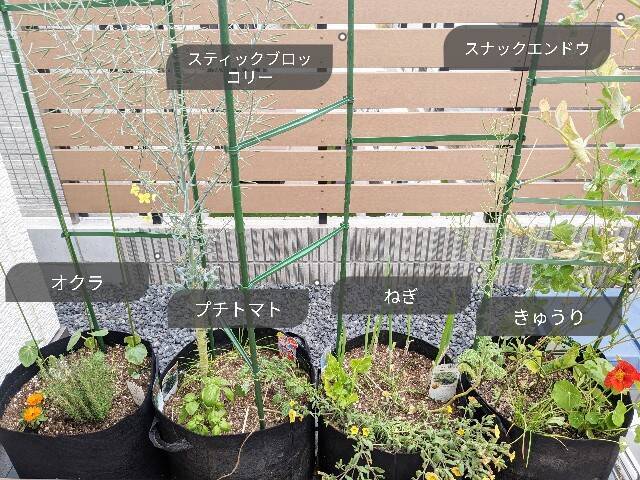 f:id:xoyu-nxo:20230424220801j:image