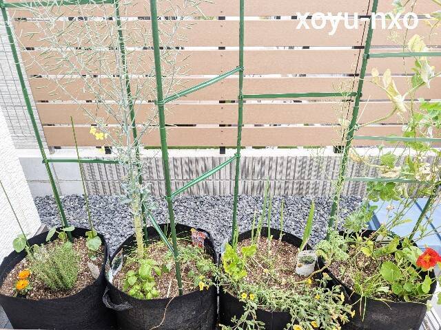 f:id:xoyu-nxo:20230424222952j:image