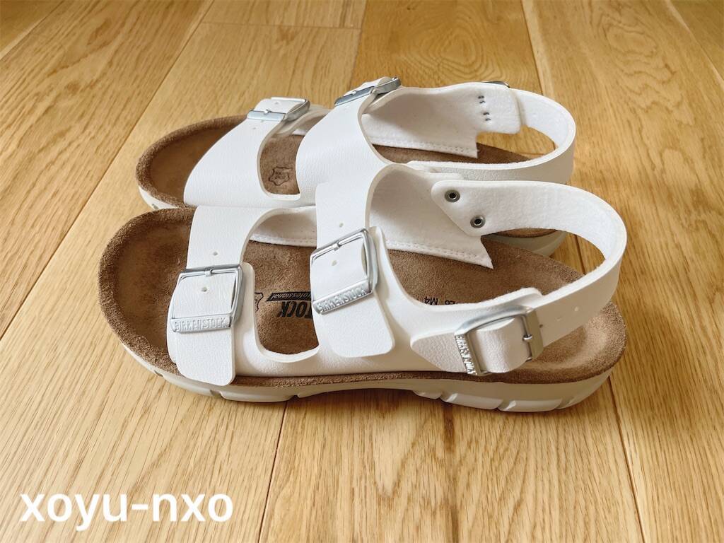 f:id:xoyu-nxo:20230803153818j:image