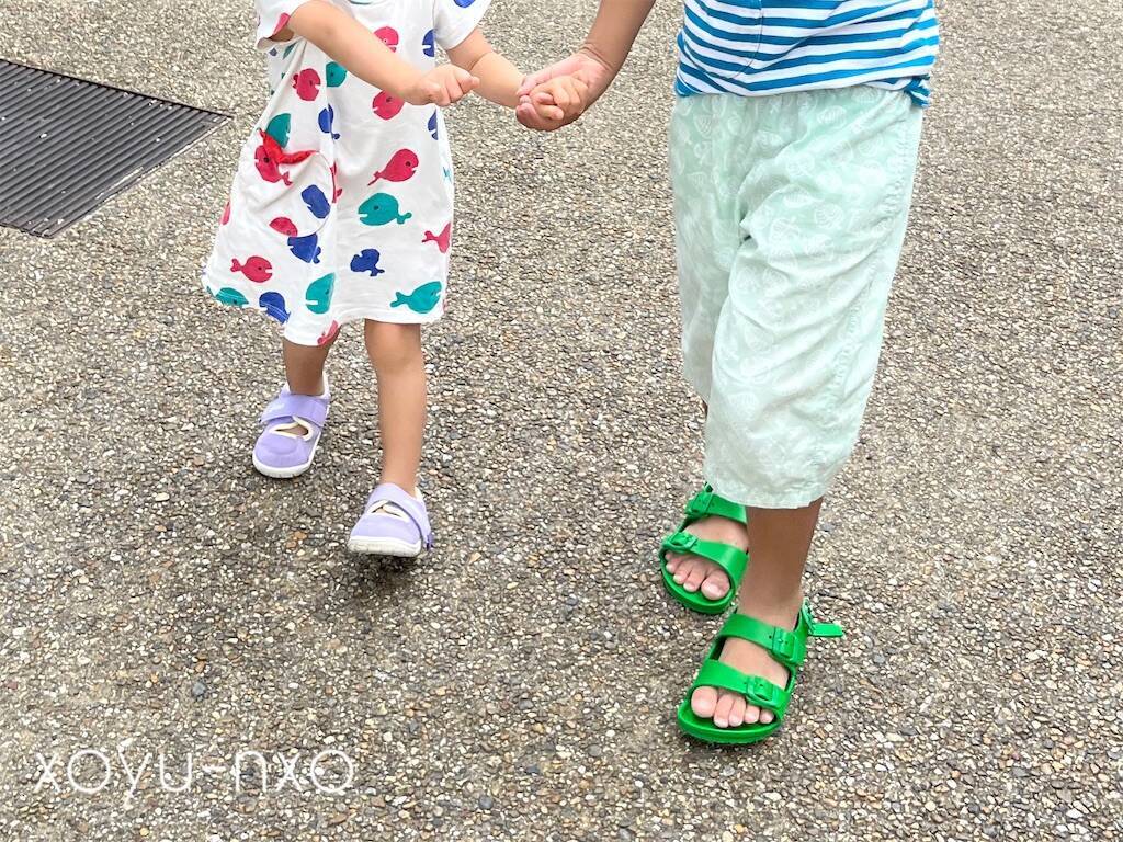 f:id:xoyu-nxo:20230803220019j:image