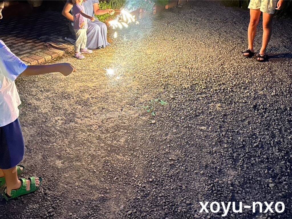 f:id:xoyu-nxo:20230816231403j:image