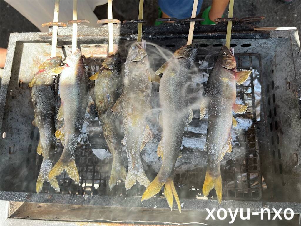 f:id:xoyu-nxo:20230913150046j:image f:id:xoyu-nxo:20230913150046j:image