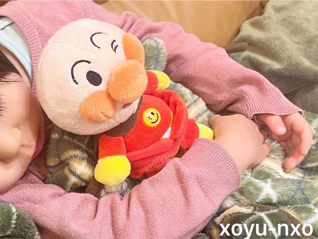 f:id:xoyu-nxo:20231230084228j:image