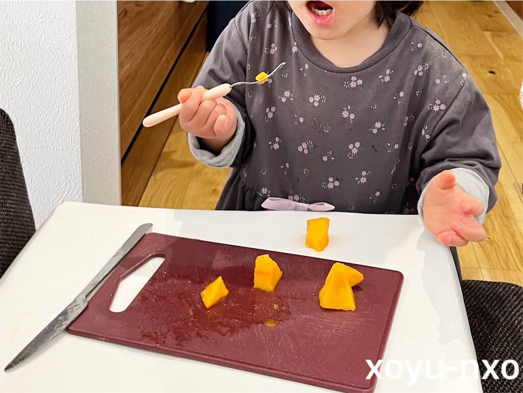f:id:xoyu-nxo:20231230090752j:image