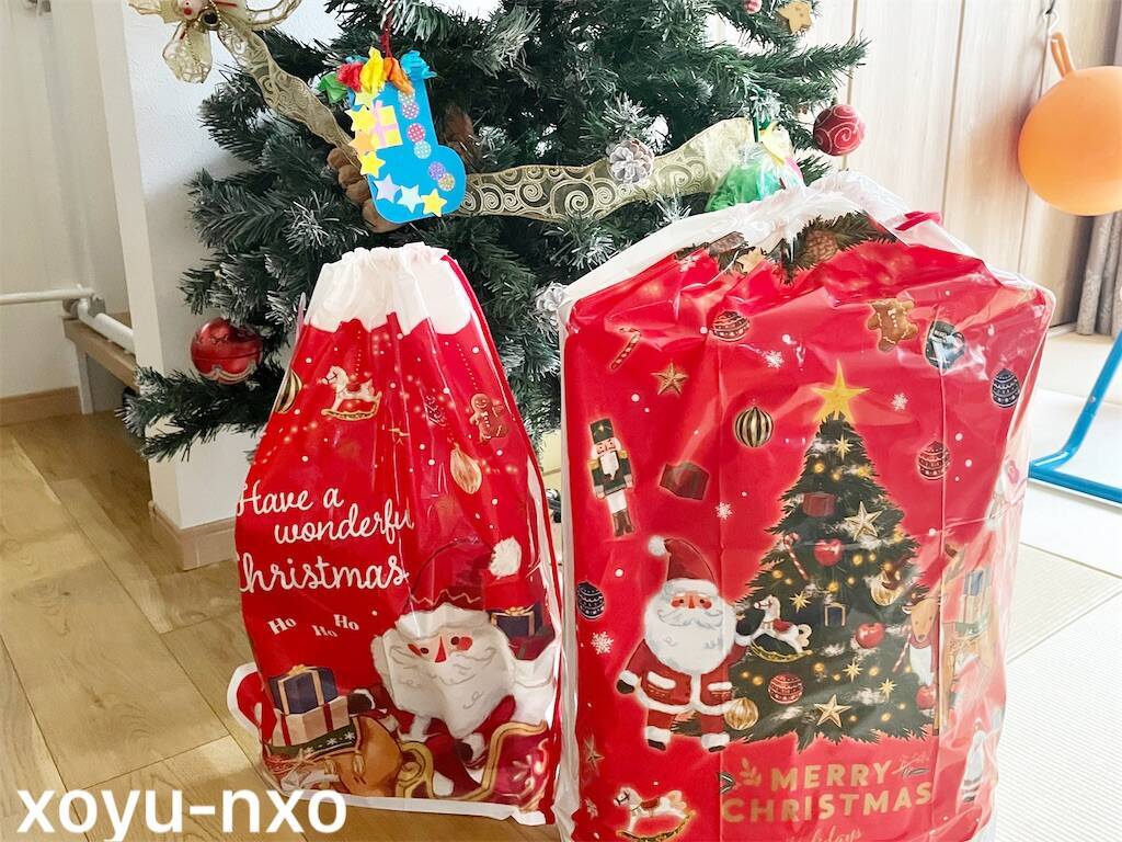 f:id:xoyu-nxo:20231230204112j:image