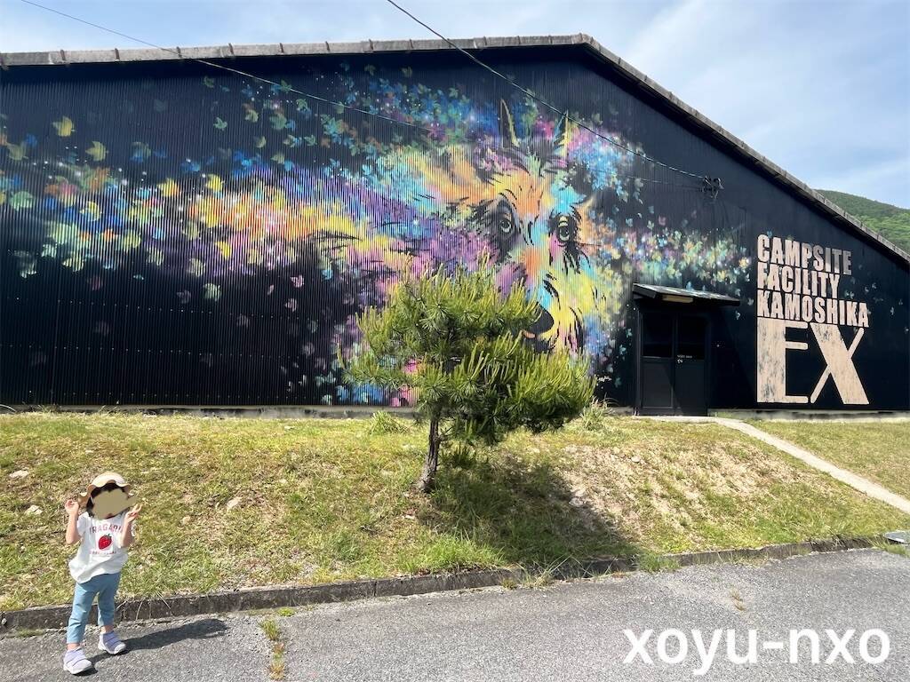 f:id:xoyu-nxo:20240522101042j:image
