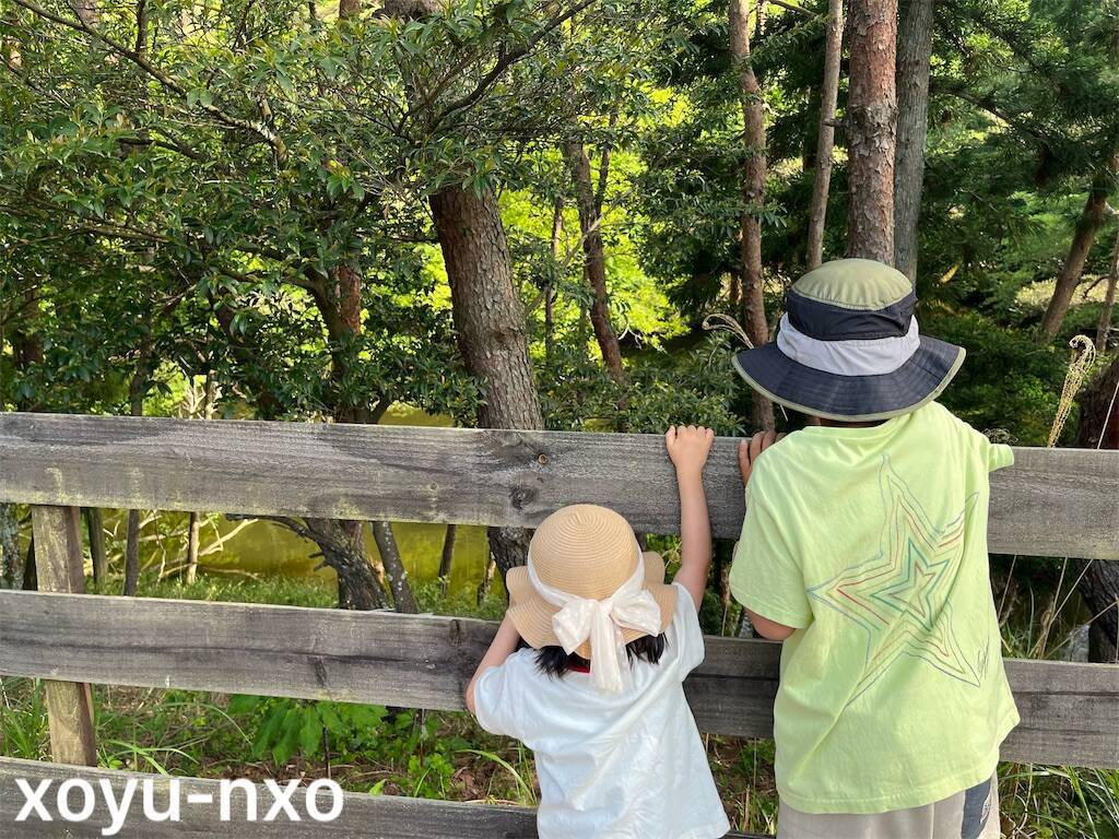 f:id:xoyu-nxo:20240527133957j:image