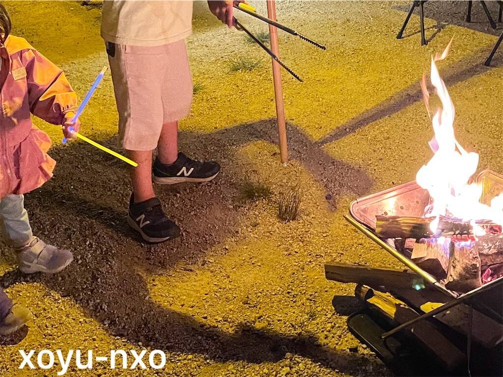 f:id:xoyu-nxo:20240530165907j:image