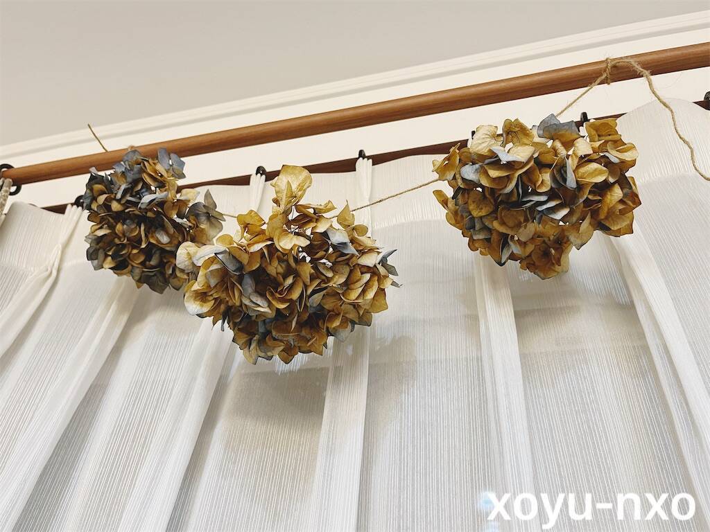 f:id:xoyu-nxo:20240608210207j:image