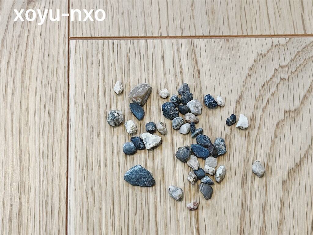 f:id:xoyu-nxo:20240629141711j:image