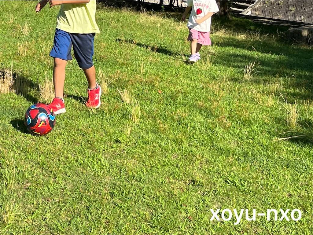 f:id:xoyu-nxo:20240803212811j:image