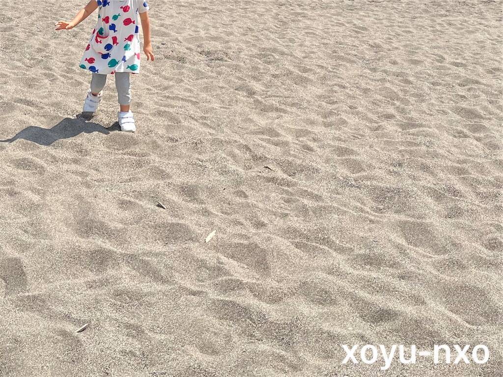 f:id:xoyu-nxo:20240816192502j:image