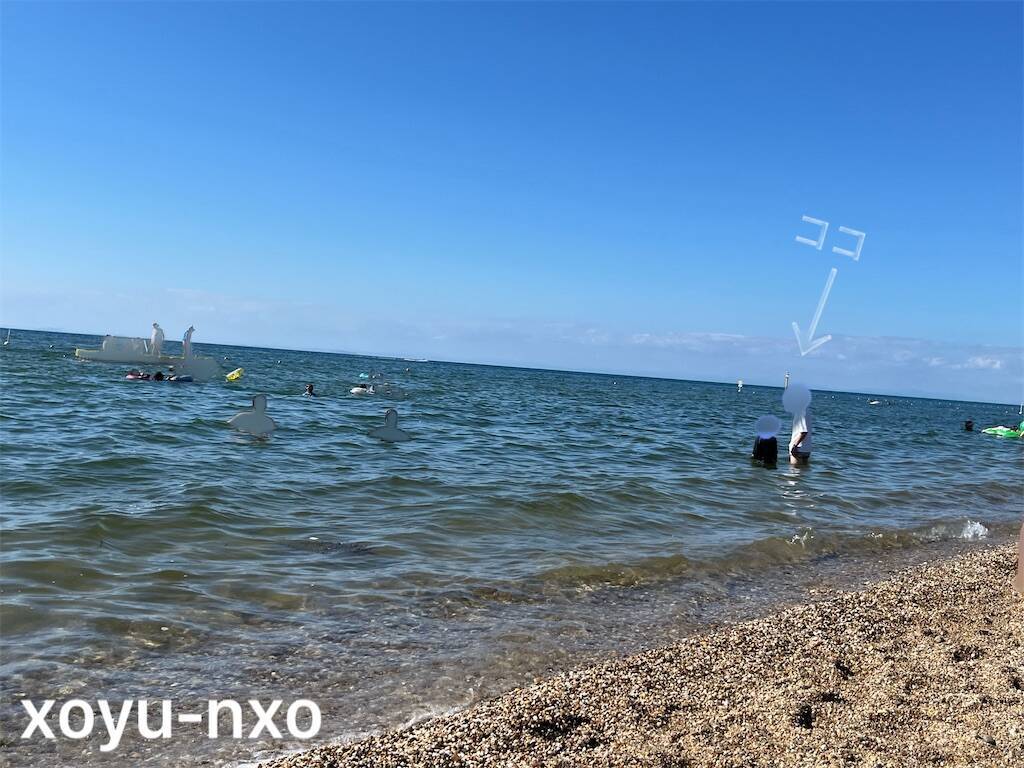 f:id:xoyu-nxo:20240911114512j:image f:id:xoyu-nxo:20240911114512j:image