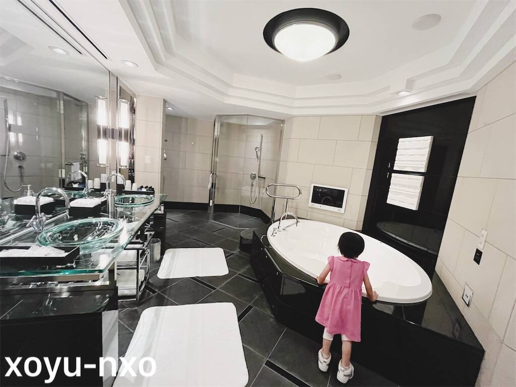 f:id:xoyu-nxo:20240916224718j:image