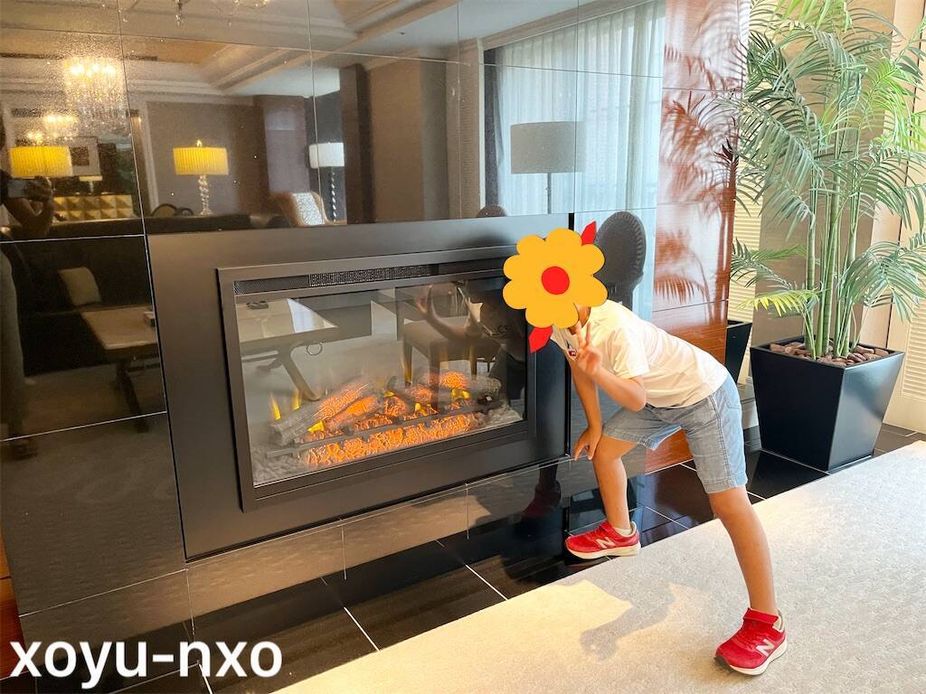 f:id:xoyu-nxo:20240916224724j:image