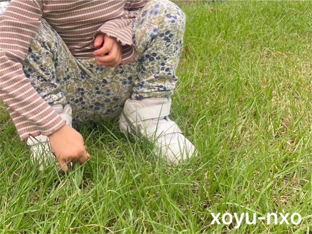 f:id:xoyu-nxo:20241113131704j:image