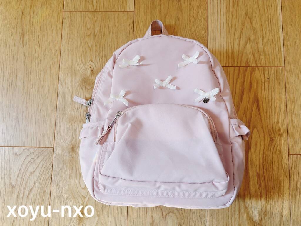 f:id:xoyu-nxo:20241113131724j:image