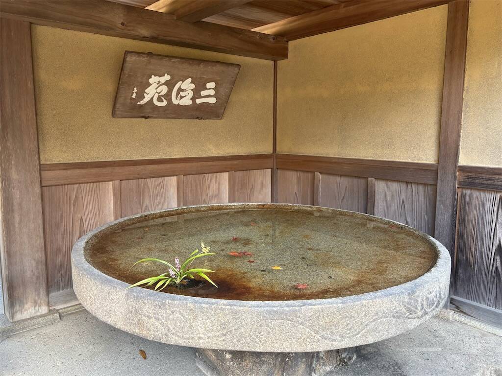 f:id:xoyu-nxo:20241218103918j:image