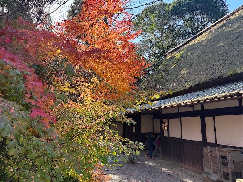 f:id:xoyu-nxo:20241218103928j:image
