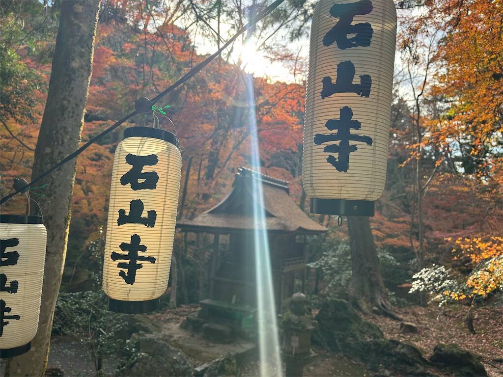 f:id:xoyu-nxo:20241218104044j:image
