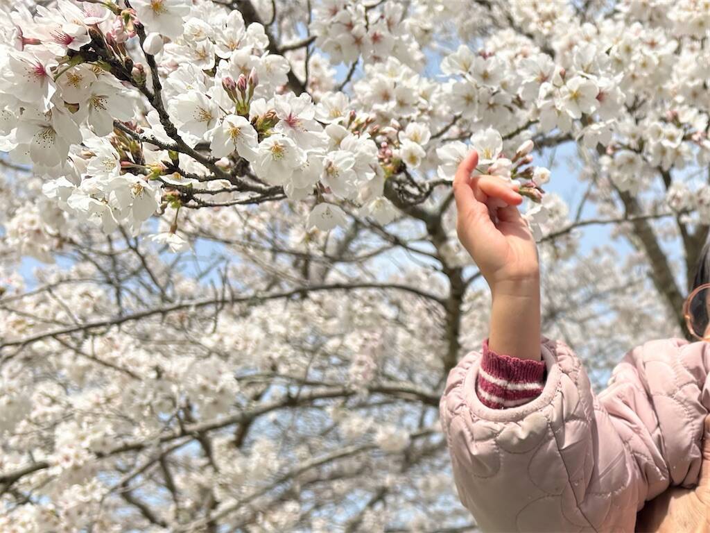 f:id:xoyu-nxo:20250430195126j:image