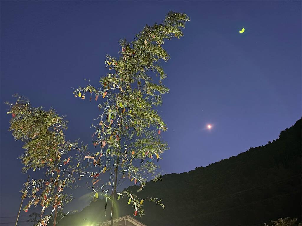 f:id:xoyu-nxo:20250821140247j:image
