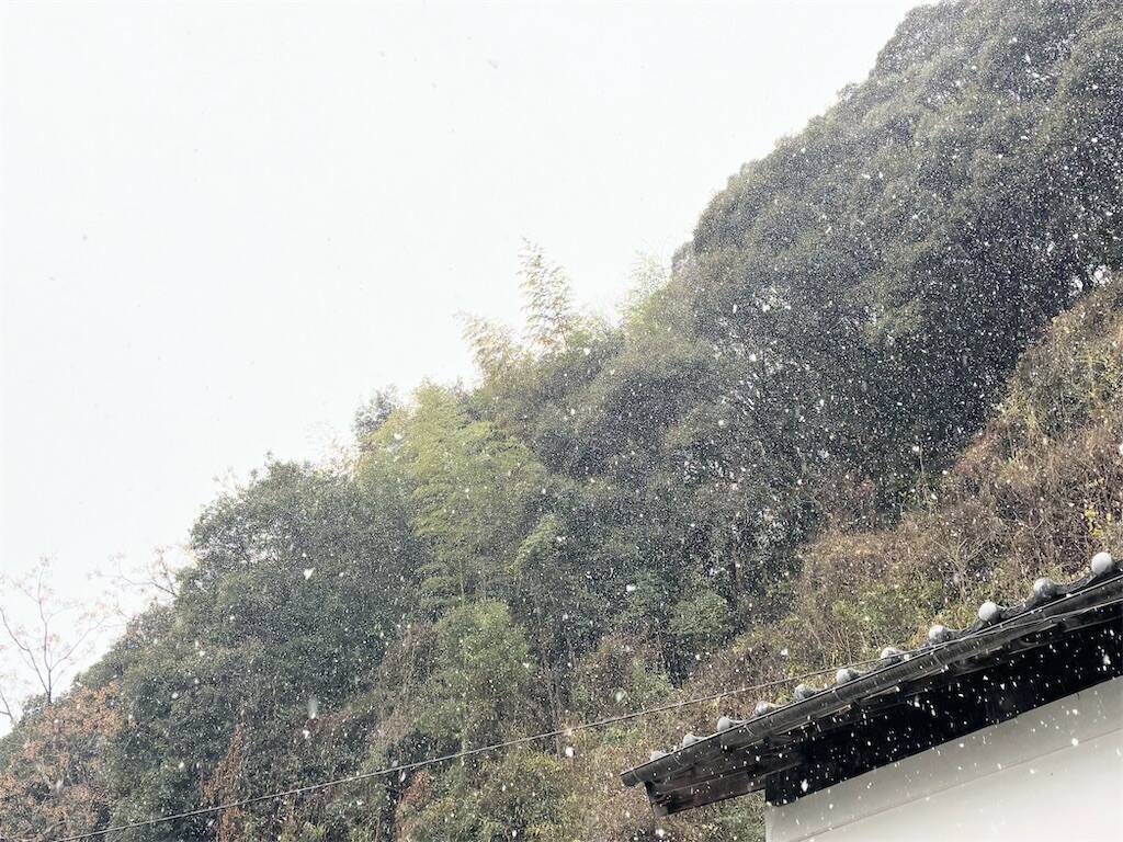 f:id:xoyu-nxo:20260102160643j:image